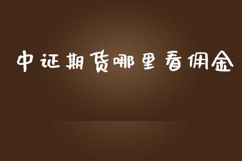中证期货哪里看佣金