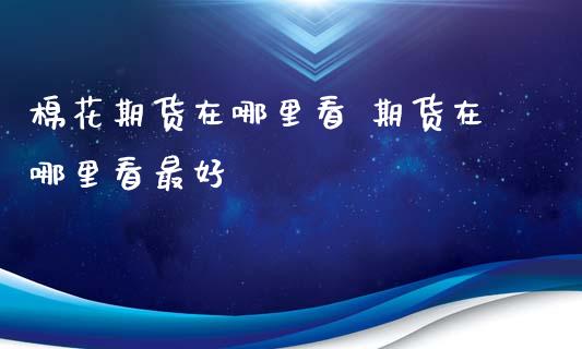 棉花期货在哪里看 期货在哪里看最好_https://www.dglong8.com_内盘期货_第1张