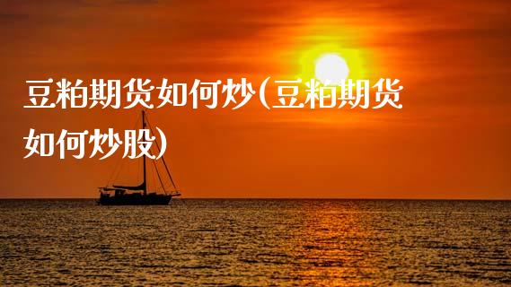 豆粕期货如何炒(豆粕期货如何炒股)