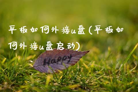 平板如何外接u盘(平板如何外接u盘启动)