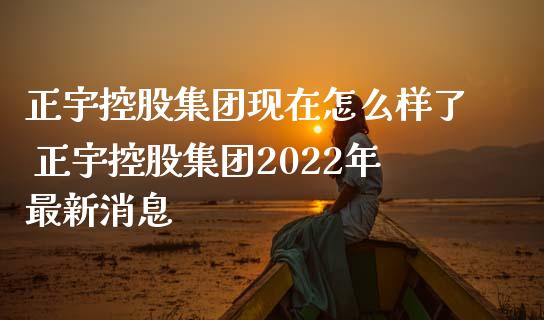 正宇控股集团现在怎么样了 正宇控股集团2022年最新消息