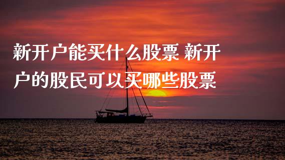 新开户能买什么股票 新开户的股民可以买哪些股票