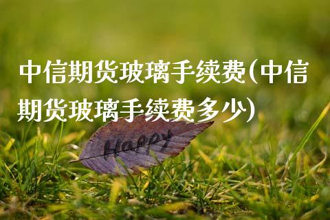 中信期货玻璃手续费(中信期货玻璃手续费多少)