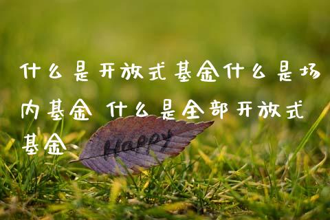 什么是式基金什么是场内基金 什么是全部式基金