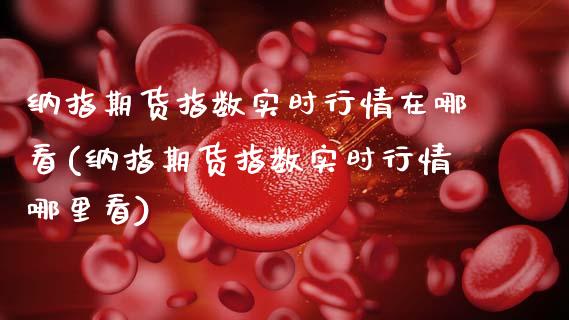 纳指期货指数实时行情在哪看(纳指期货指数实时行情哪里看)