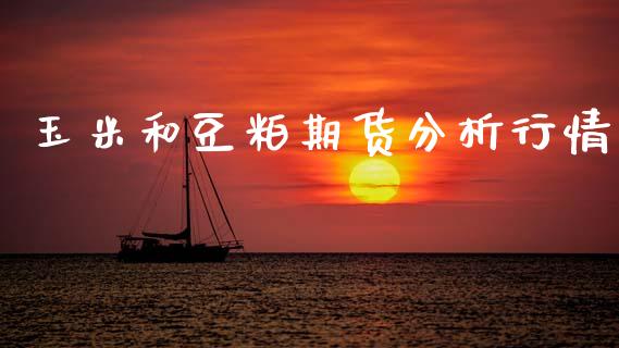 玉米和豆粕期货分析行情