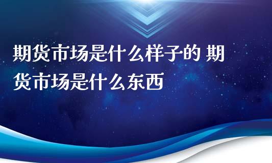 期货市场是什么样子的 期货市场是什么东西