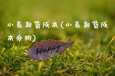 小麦期货成本(小麦期货成本分析)