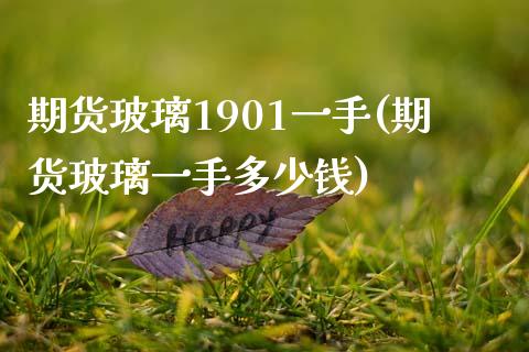 期货玻璃1901一手(期货玻璃一手多少钱)