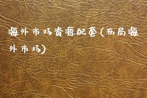 海外市场资源配套(布局海外市场)