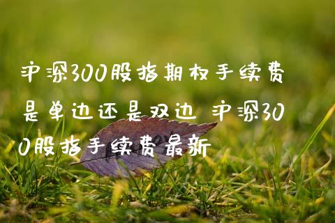 沪深300股指期权手续费是单边还是双边 沪深300股指手续费最新_理财百科_第1张_宇龙理财网 沪深300股指期权手续费是单边还是双边 沪深300股指手续费最新_https://www.dglong8.com_理财百科_第1张
