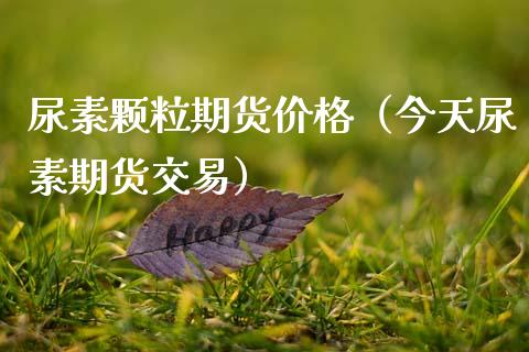 尿素颗粒期货价格（今天尿素期货交易）