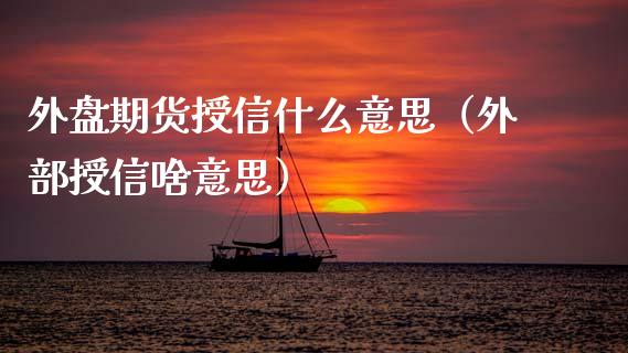 外盘期货授信什么意思（外部授信啥意思）
