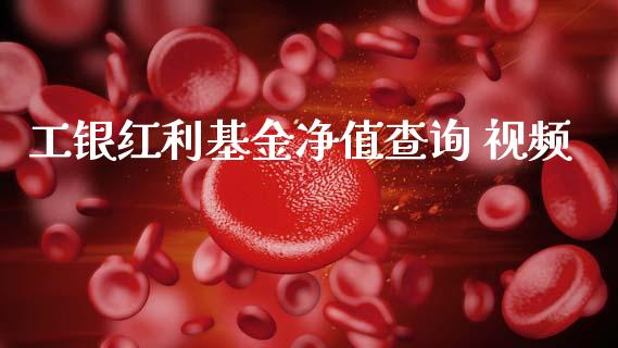 工银红利基金净值查询 视频