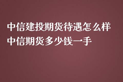 中信建投期货待遇怎么样 中信期货多少钱一手