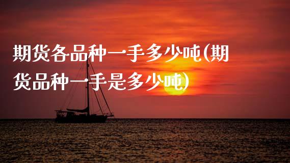期货各品种一手多少吨(期货品种一手是多少吨)