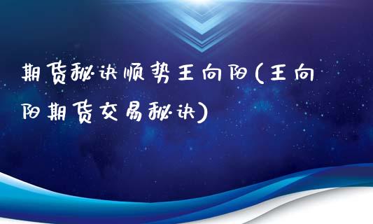 期货秘诀顺势王向阳(王向阳期货交易秘诀)