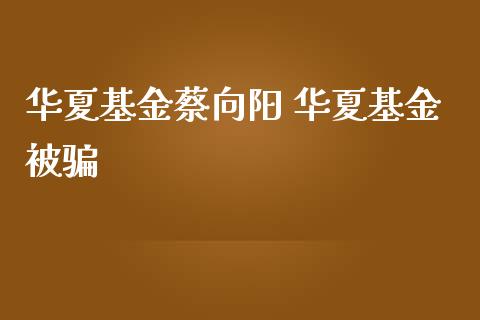 华夏基金蔡向阳 华夏基金被