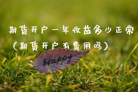期货开户一年收益多少正常（期货开户有费用吗）