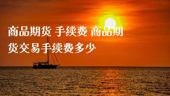 商品期货 手续费 商品期货交易手续费多少_理财百科_第1张_宇龙理财网 商品期货 手续费 商品期货交易手续费多少_https://www.dglong8.com_理财百科_第1张