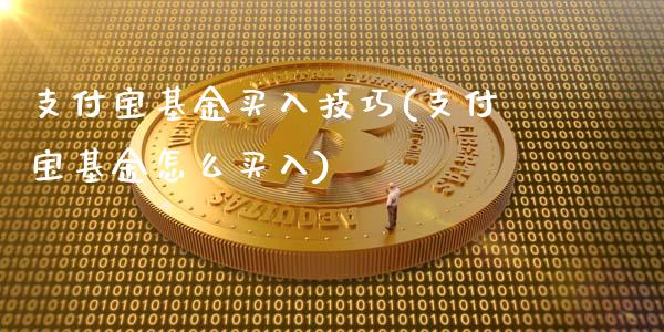 支付宝基金买入技巧(支付宝基金怎么买入)
