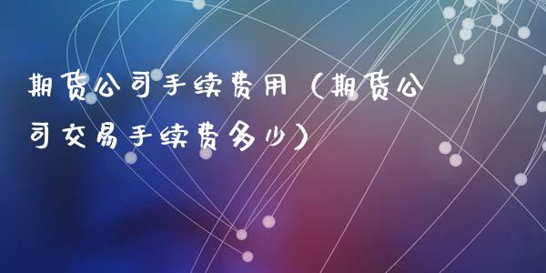 期货公司手续费用（期货公司交易手续费多少）