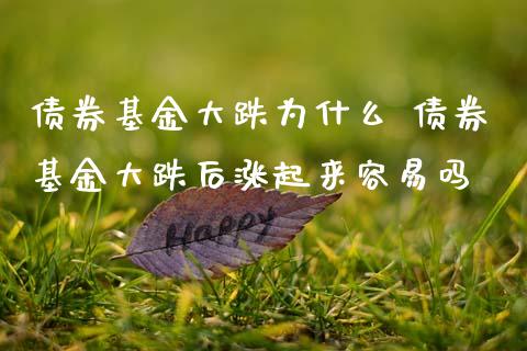 债券基金大跌为什么 债券基金大跌后涨起来容易吗