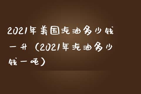 2021年美国汽油多少钱一升（2021年汽油多少钱一吨）