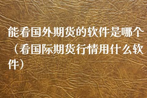 能看国外期货的软件是哪个（看国际期货行情用什么软件）