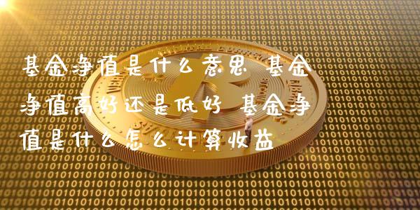 基金净值是什么意思 基金净值高好还是低好 基金净值是什么怎么计算收益_https://www.dglong8.com_基金理财_第1张