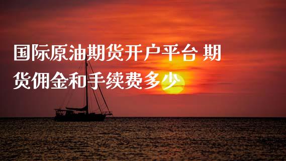 国际原油期货开户平台 期货佣金和手续费多少