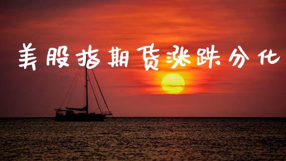 美股指期货涨跌分化