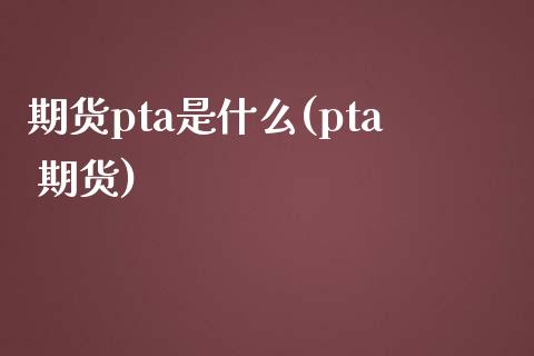 期货pta是什么(pta 期货)