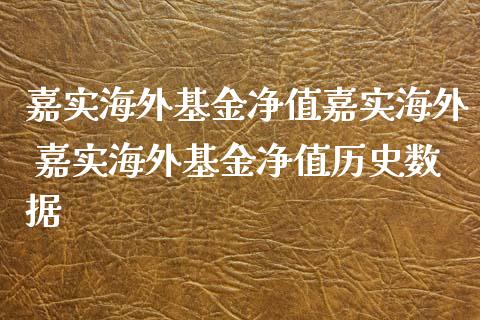 嘉实海外基金净值嘉实海外 嘉实海外基金净值历史数据