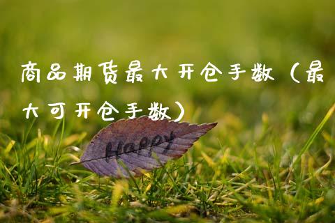商品期货最大开仓手数（最大可开仓手数）