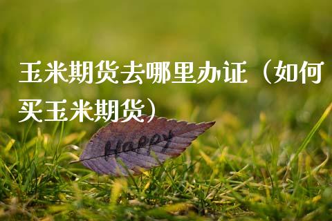 玉米期货去哪里（如何买玉米期货）