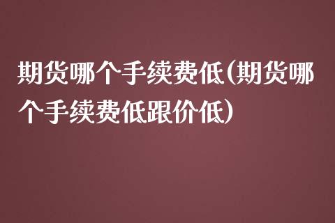 期货哪个手续费低(期货哪个手续费低跟价低)