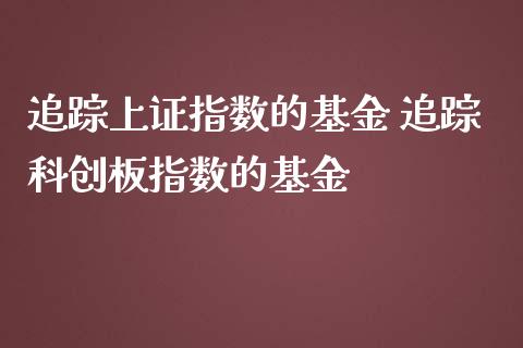 追踪上证指数的基金 追踪科创板指数的基金