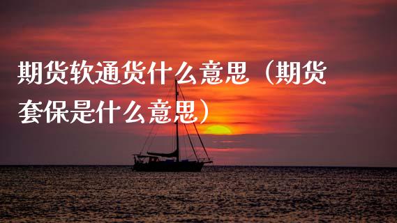 期货软通货什么意思（期货套保是什么意思）
