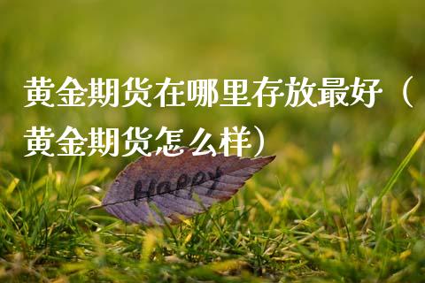 黄金期货在哪里存放最好（黄金期货怎么样）