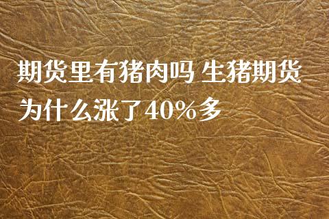 期货里有猪肉吗 生猪期货为什么涨了40%多