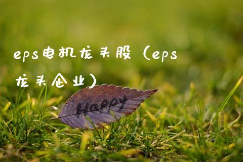 eps电机龙头股（eps龙头企业）