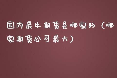 国内最牛期货是哪家的（哪家期货公司最大）