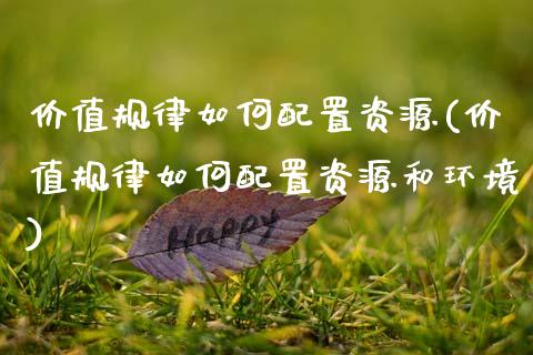 价值规律如何配置资源(价值规律如何配置资源和环境)