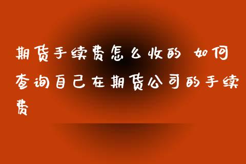 期货手续费怎么收的 如何查询自己在期货公司的手续费