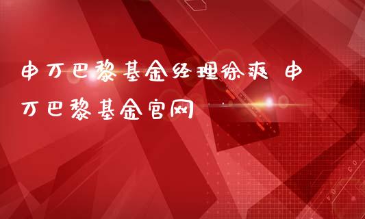 申万巴黎基金经理徐爽 申万巴黎基金_https://www.dglong8.com_基金理财_第1张
