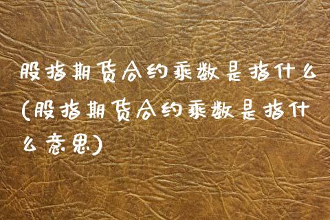 股指期货合约乘数是指什么(股指期货合约乘数是指什么意思)