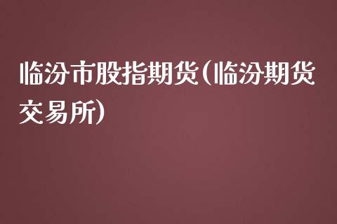 临汾市股指期货(临汾期货交易所)