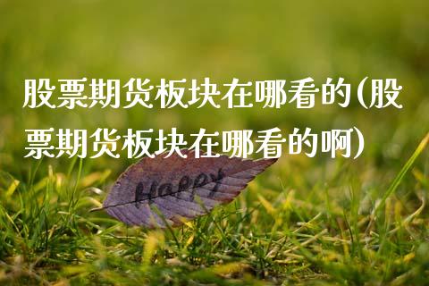 股票期货板块在哪看的(股票期货板块在哪看的啊)