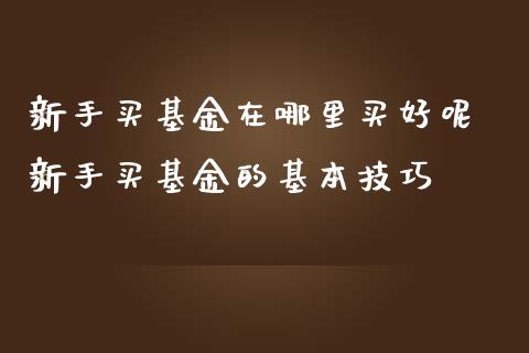 新手买基金在哪里买好呢 新手买基金的基本技巧